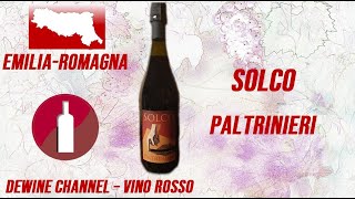 SOLCO  PALTRINIERI [upl. by Leandre]