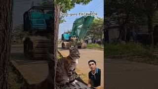 Ngagetin ajashorts kucinglucu catlover cat kucingkagetexavator [upl. by Turmel]