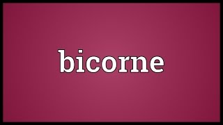 Bicorne Meaning [upl. by Hsac287]