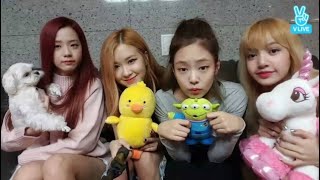 ENG SUB BLACKPINK VLIVE ROSÉ JISOO LISA AND JENNIE [upl. by Norvell557]