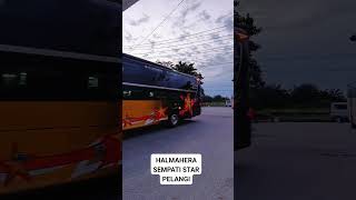 BUS HALMAHERASEMPATI STARPELANGI [upl. by Lesnah]