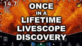 Once in a Lifetime Livescope Discovery watch closely [upl. by Yennej]