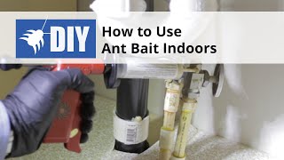 How to Use Ant Bait Indoors  DoMyOwncom [upl. by Ahab]