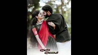 kurinji poo kadhava vijayakanth spbsongs sujathamohan lovestatus lovesong tamilstatus [upl. by Kevyn]