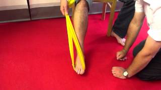 Tibialis Posterior Dysfunction  rehab exercises with latex band [upl. by Kayne5]