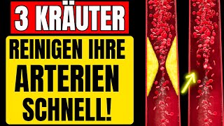 ALARM Diese 3 Kräuter Senken Den Bluthochdruck in Minuten und Reinigen Deine Arterien [upl. by Adrienne771]