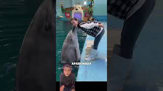 Doméstico un delfín 🐬 youtubeshorts shorts viralvideo funny [upl. by Grimbal]