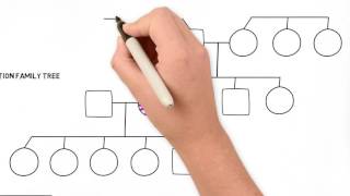 How to Draw a Family Tree  Part 2 Advanced [upl. by Ariat835]