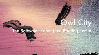 Owl City  The Saltwater Room Eco Bootleg Remix [upl. by Rhona]