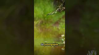 Un photographe Capture la bataille dArowana et de serpents devant la caméra ❤️ [upl. by Navac]