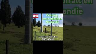 Le vert de la Normandie à Tahiti tahiti shorts roadtrip vlog dailyvlog nature beautiful [upl. by Nnylidnarb261]