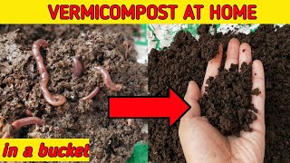 HOW TO MAKE VERMICOMPOST AT HOME  Make Enriched Vermicompost at Home And Use In Your Plants [upl. by Aihsemak]