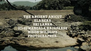 Ancient Stone Embankment  Elahera Sri Lanka [upl. by Pippo]