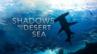 Shadows in a Desert Sea  HD [upl. by Ettezus]