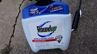 Roundup Weed amp Grass Killer Review  Does It Actually Work [upl. by Nagrom]