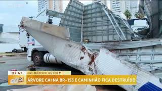 PREJUÍZO DE 100 MIL ÁRVORE CAI NA BR153 E DEIXA A CARROCERIA DE CAMINHÃO COMPLETAMENTE DESTRUÍDA [upl. by Emil4]