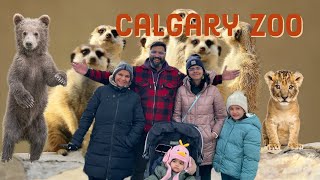 Zoo in Alberta  Part 2  Calgary Zoo  2nd Largest Zoo in Canada  canadavlogs calgaryzoo [upl. by Hutner]