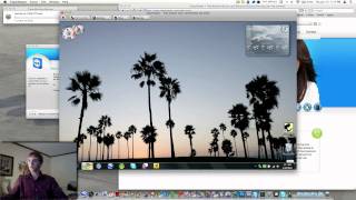 Team Viewer Demonstration [upl. by Sialac]