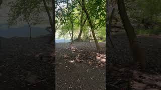 Bay Beach Wild Life Sanctuary in Green Bay Wisconsin 3 [upl. by Nerad]