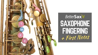 Beginner Saxophone Lesson 4  Fingering and First Notes [upl. by Attenal]