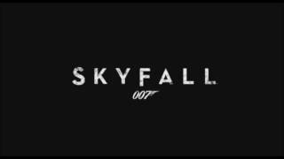 Adele Skyfall extended [upl. by Siger454]