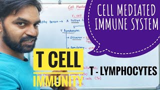 Cell mediated immunity  innate immune response  V Senthilnathan [upl. by Ban518]