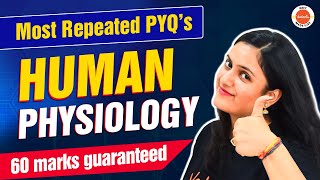 Most repeated Human Physiology PYQs  60 marks guaranteed  NEET Biology Class 11  NEET 2024 [upl. by Delia]