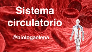 Sistema Circulatorio  Conceptos generales  Biología [upl. by Euqinemod]