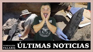 ¡Revolución en la Arqueología La estructura de madera más antigua jamás encontrada  Noticias [upl. by Pricilla]