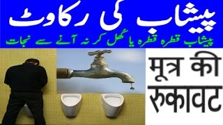 Peshab Ka Ruk Ruk K Ana Ya Peshab K Na Aany Ka ilaj  urdu  hindi [upl. by Cahilly]