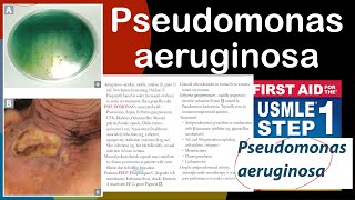 Pseudomonas aeruginosa Ecthyma gangrene sum in HindiUrdu by first aid for USMLE step 1 [upl. by Cod856]