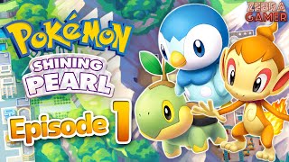 Pokemon Brilliant Diamond and Shining Pearl Gameplay Walkthrough Part 1  Sinnoh Region Piplup [upl. by Ribaudo879]