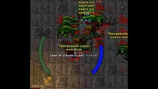 Tibia  Banuta HARDCORE Hunt  Duo EK RP [upl. by Lyj539]