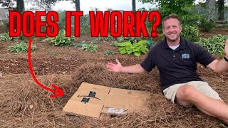 The TRUTH About Using Cardboard in your Landscape [upl. by Roxana]