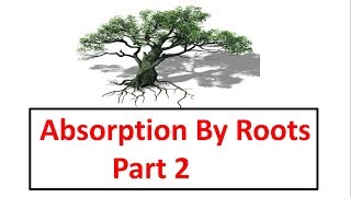 ICSE Class 10th Biology Absorption by Rootspart 2 [upl. by Marcela518]