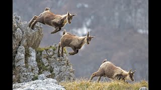 Concorso Fotografico Nazionale Civitella Alfedena [upl. by Ettenel]