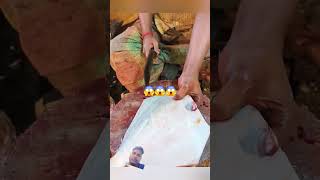 Big pomfret fish fishcuting YouTube [upl. by Ttezil]