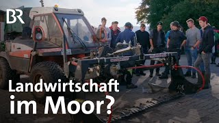 Landwirtschaft auf nassen Moorwiesen Zwischen Spezialmaschinen und robusten Rinden  UNKRAUT  BR [upl. by Deeas754]