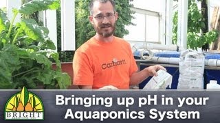 Bringing up pH in Aquaponics systems [upl. by Trilbi]