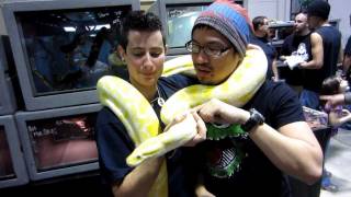 REPTILE SUPER SHOW PART 1 [upl. by Arsuy]