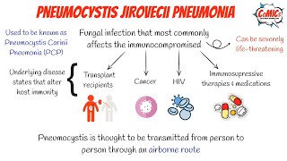 CoMICs Episode 51 Pneumocystis Jiroveci Pneumonia [upl. by Weidman266]