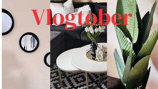 Vlogtober  Mr Price home amp Decofurn haul  Living room make over  homedecor [upl. by Hildegaard368]