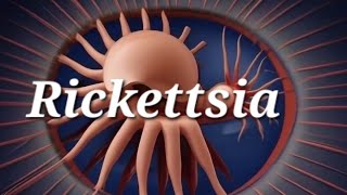 Characteristics of Rickettsia in short  PYQ  Sem 3 B Pharmacy  Microbiology [upl. by Aceissej709]