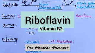 Riboflavin  Active Form Functions Dietary Sources Deficiency Manifestations [upl. by Esmeralda]