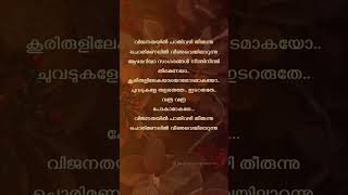 Vijanathayil 😇 trending viral malayalamlyrics [upl. by Aisek]