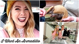 I WANT AN ARMADILLO [upl. by Hamlet]