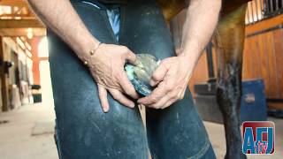 Using Copper Sulfate Spray to Address Hoof Issues [upl. by Pernas]