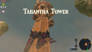 Tabantha Tower  How to Climb  Zelda BOTW [upl. by Ritz682]