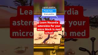 Learn Nocardia asteroides in 60 seconds [upl. by Aryam]