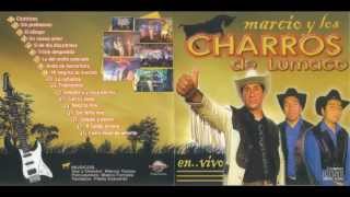 Los Charros de Lumaco  En Vivo 2007  FULL ALBUM [upl. by Ettevy]